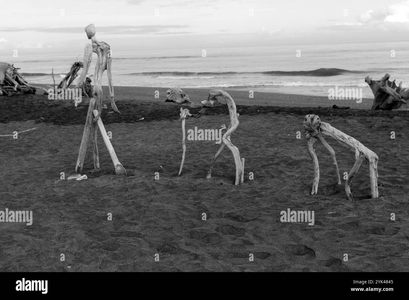 Flotsam an der Küste des Tasmanischen Meeres in Neuseeland Stockfoto