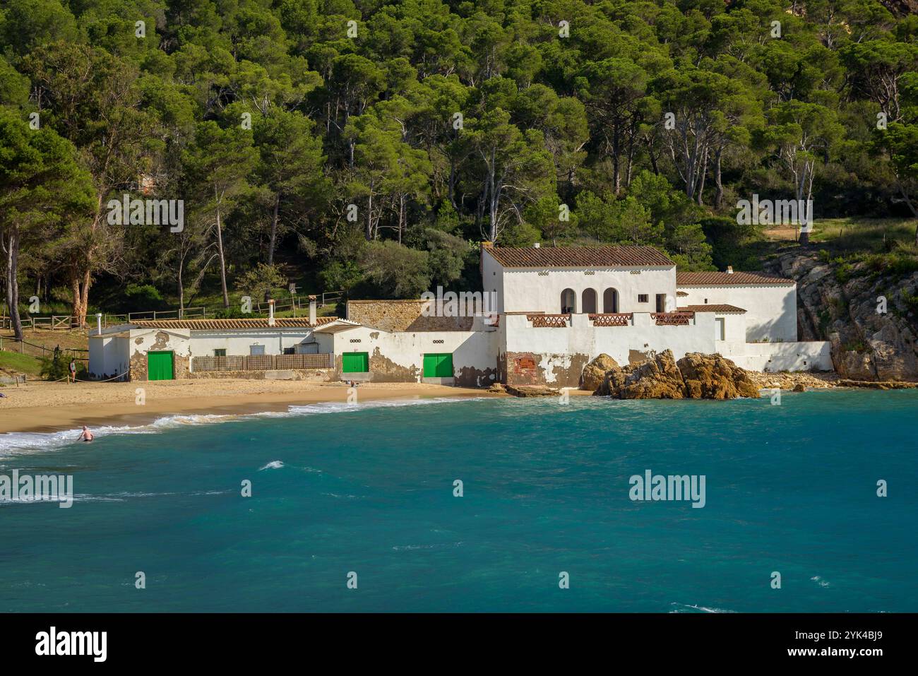Strand Platja de Castell, an der Costa Brava, eine fast unberührte Bucht in der Nähe von Palamós (Baix Empordà, Girona, Katalonien, Spanien) Stockfoto