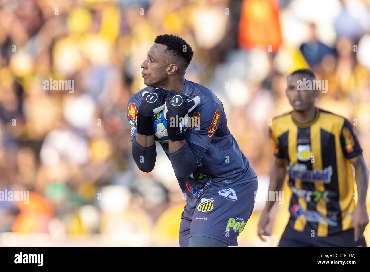 Novorizontino Torhüter Jordi hält den Ball während des Campeonato Brasileiro Serie B Fußballspiels zwischen Novorizontino und Paysandu als Teil der Brasileirao Serie B 2024 im Doutor Jorge Ismael de Biasi Stadium 'Jorjão' am 16. November 2024 in Novo Horizonte, Brasilien. (Ranier Moura/SPP) Stockfoto