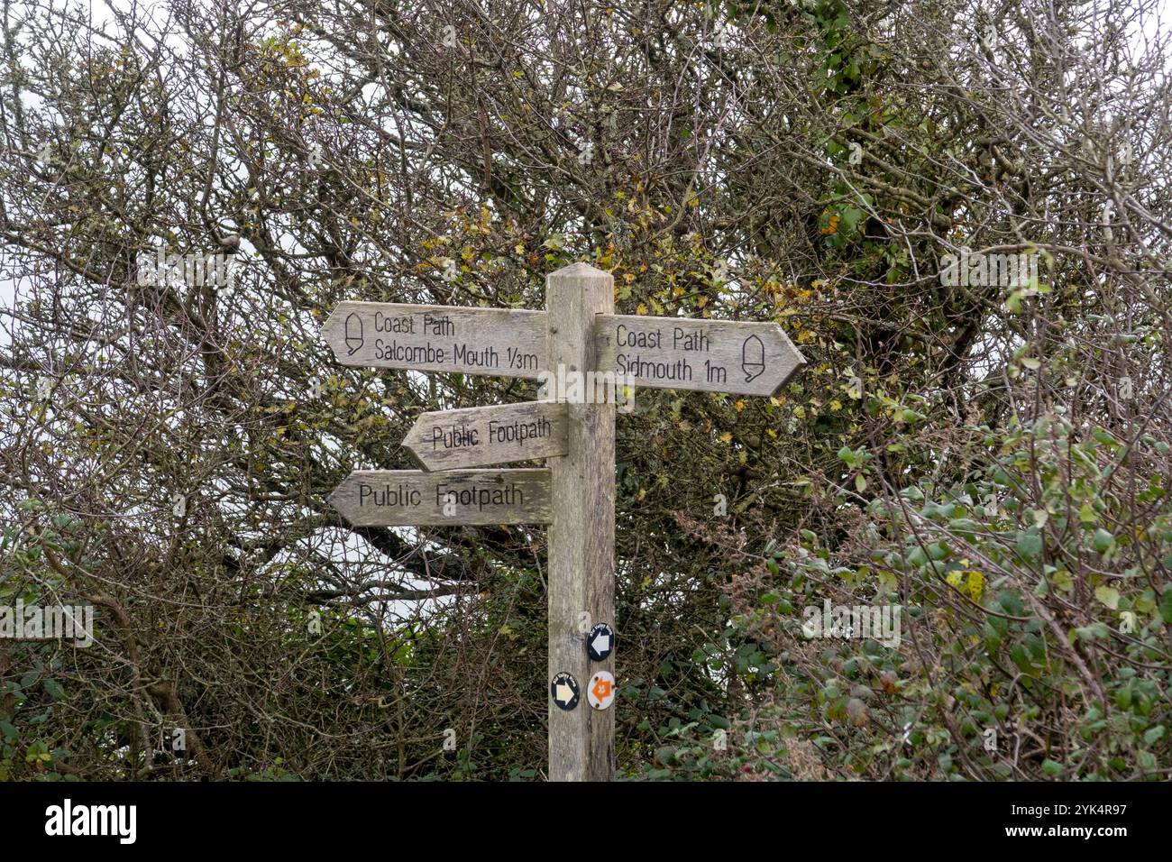 Der South West Coastal Path auf dem Salcombe Hill, Salcombe Regis, Nr Sidmouth, mit Blick auf den Salcombe Mouth Stockfoto