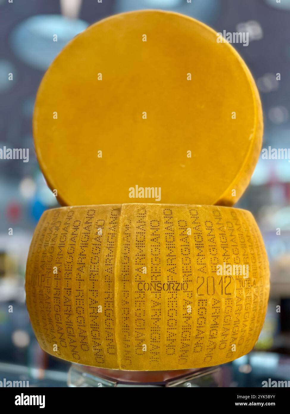 Ganze/ganze Scheibe Parmesankäse (Parmigiana Reggiano) - nicht pasteurisierte Kuhmilch - DOP - Italien Stockfoto