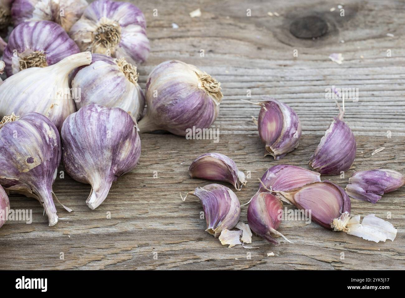 Knoblauchzehen auf hölzernem Vintage-Hintergrund. Setzlinge zum Anpflanzen von Knoblauch Stockfoto