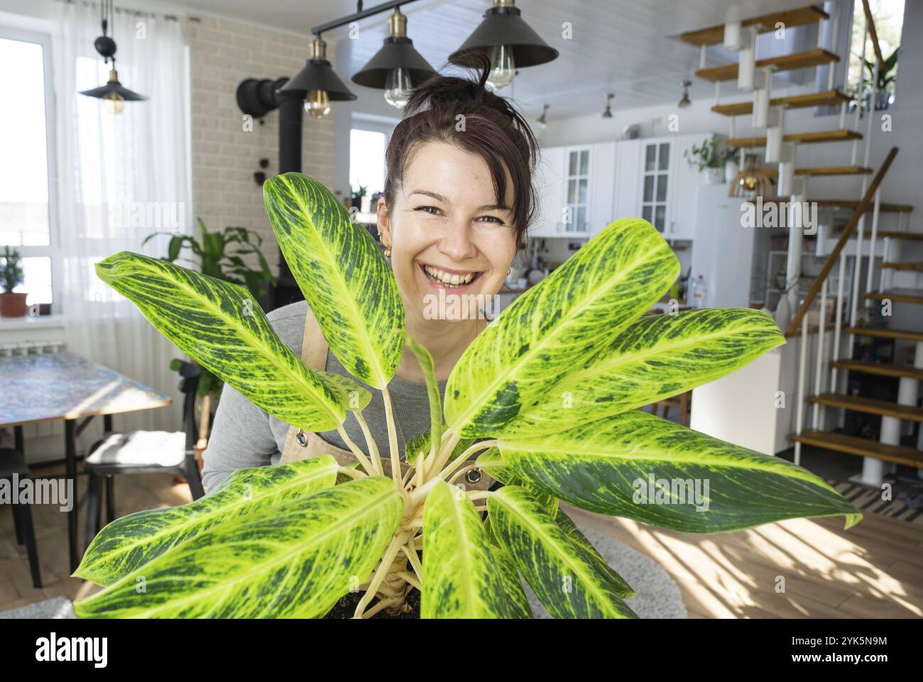 Eine glückliche Frau in einem grünen Haus mit einer Topfpflanze in den Händen lächelt, kümmert sich um eine Blume. Das Innere eines gemütlichen, umweltfreundlichen Hauses, ein Kamin Stockfoto