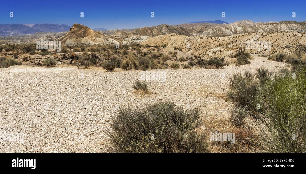 Tabernas Wüste Naturreservat, Sonderschutzgebiet, Heißes Wüstenklima, Tabernas, Almeria, Andalusien, Spanien, Europa Stockfoto