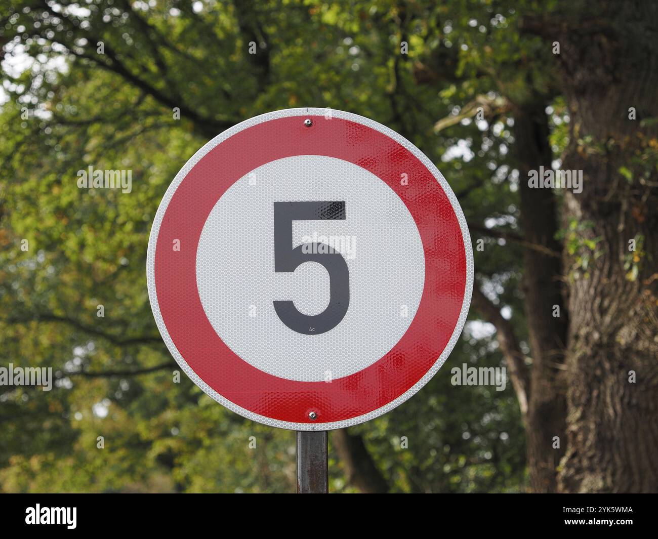 Nummer 5, Ziffer, Verkehrszeichen, Jahrestag, Geburtstag, Nordrhein-Westfalen, Deutschland, Europa Stockfoto