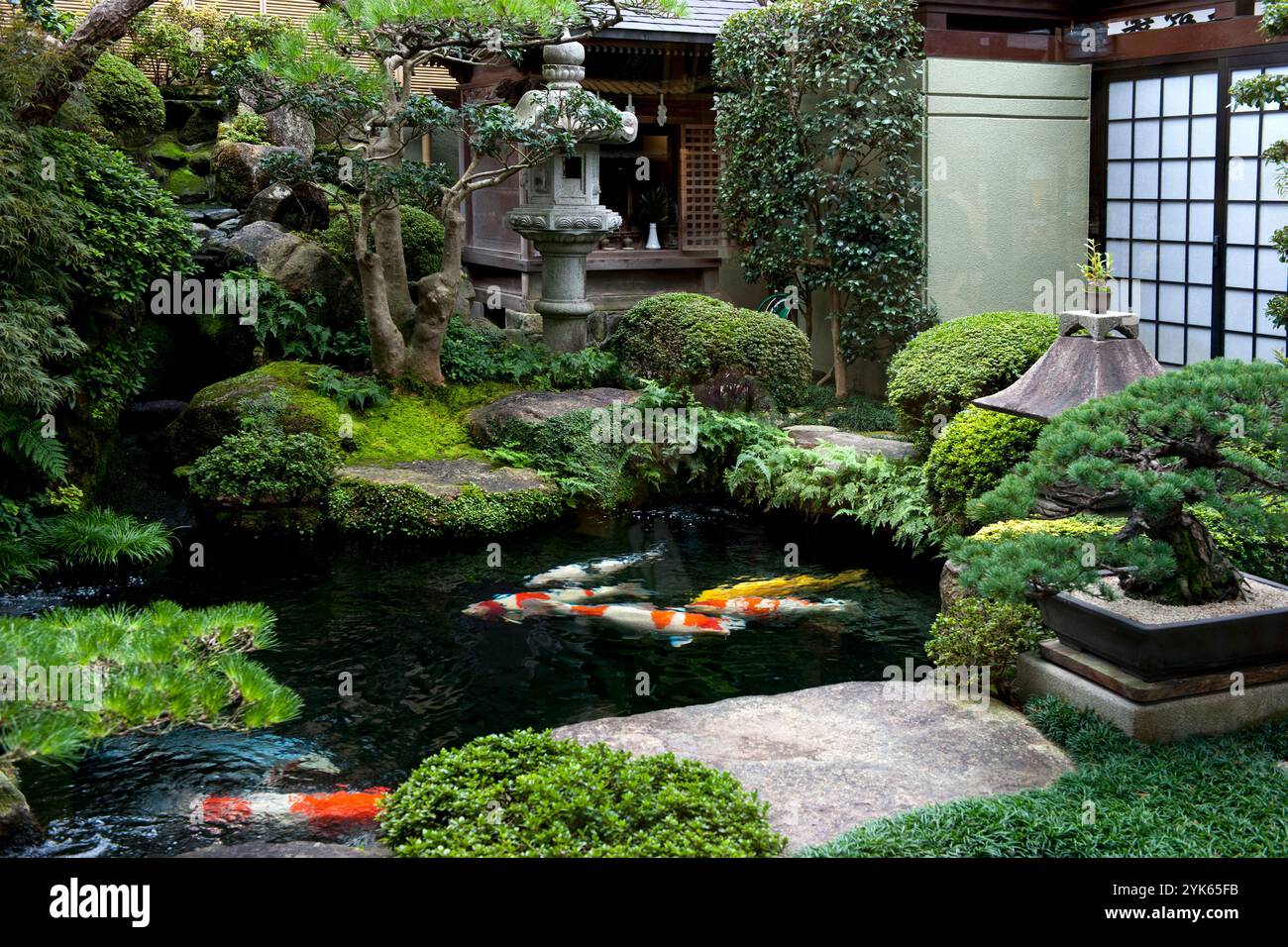 Teich, japanischer Bonsai-Garten in Schwilowsee, OT. Ferch, Brandenburg  Stockfotografie - Alamy
