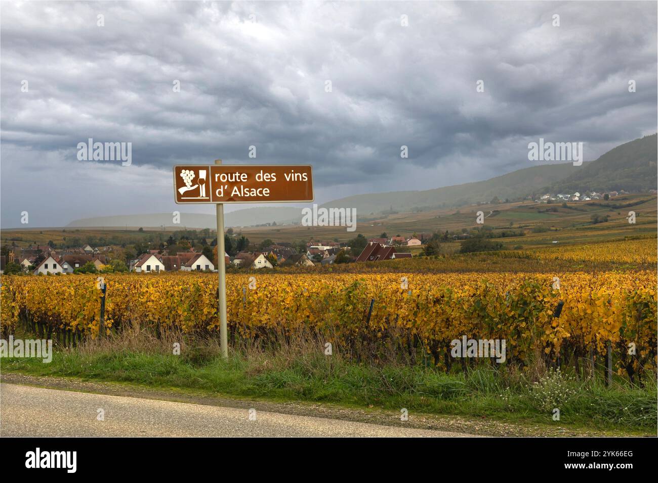 Haut-Rhin, Elsass, Frankreich - 22. Oktober 2024 - Wegweiser in der Mitte der elsässischen Weinberge, die darauf hinweisen, dass dies der Weg für die Weinberge ist Stockfoto