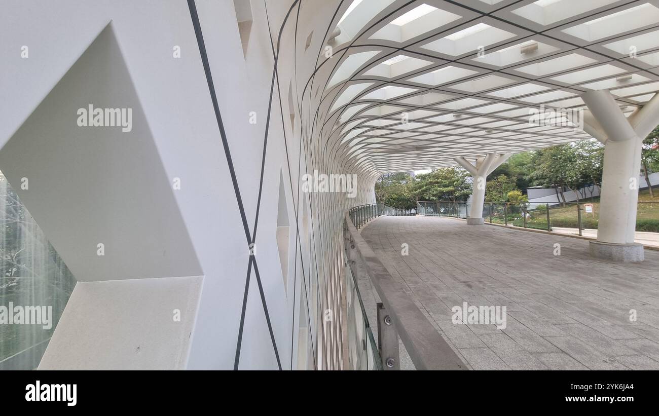 In Shenzhen, China, bietet der erhöhte Fußweg einen Panoramablick auf den Park und die Skyline der Stadt. - Smartphone-aufgenommenes Stockfoto
