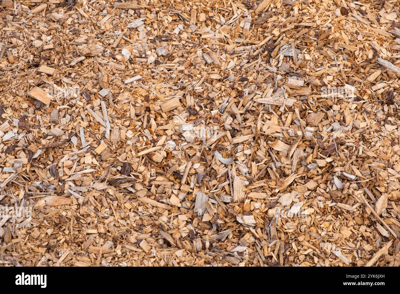 Holzspäne, Holzboden Mulch. Holzspäne Hintergrund Stockfoto