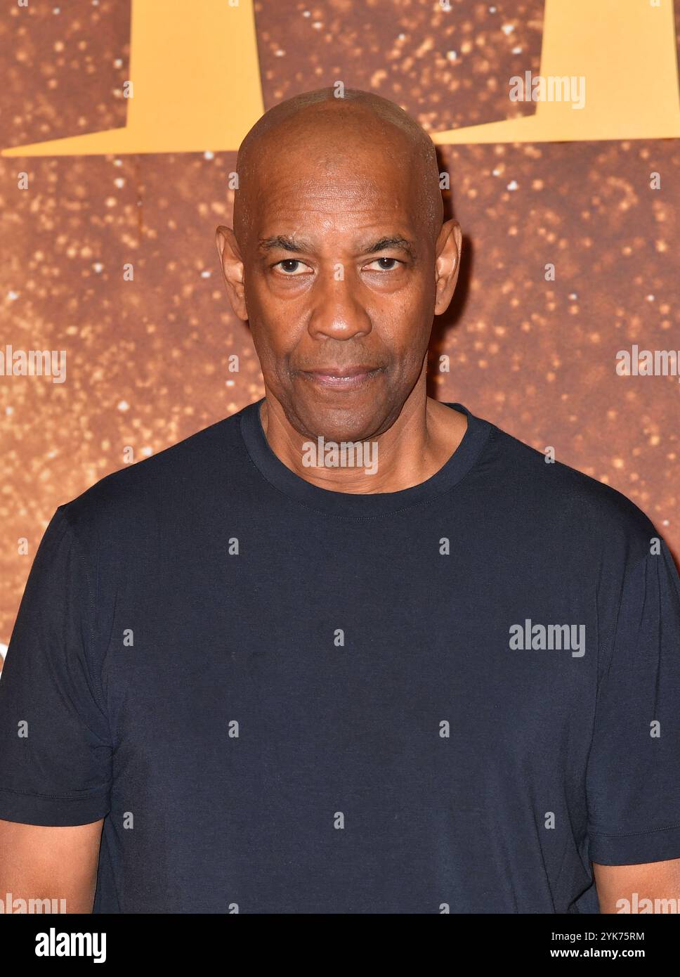 Connie Nielsen und Denzel Washington nehmen am 10. November 2024 an der Premiere von Gladiator II im Pathe Palace Teil Stockfoto