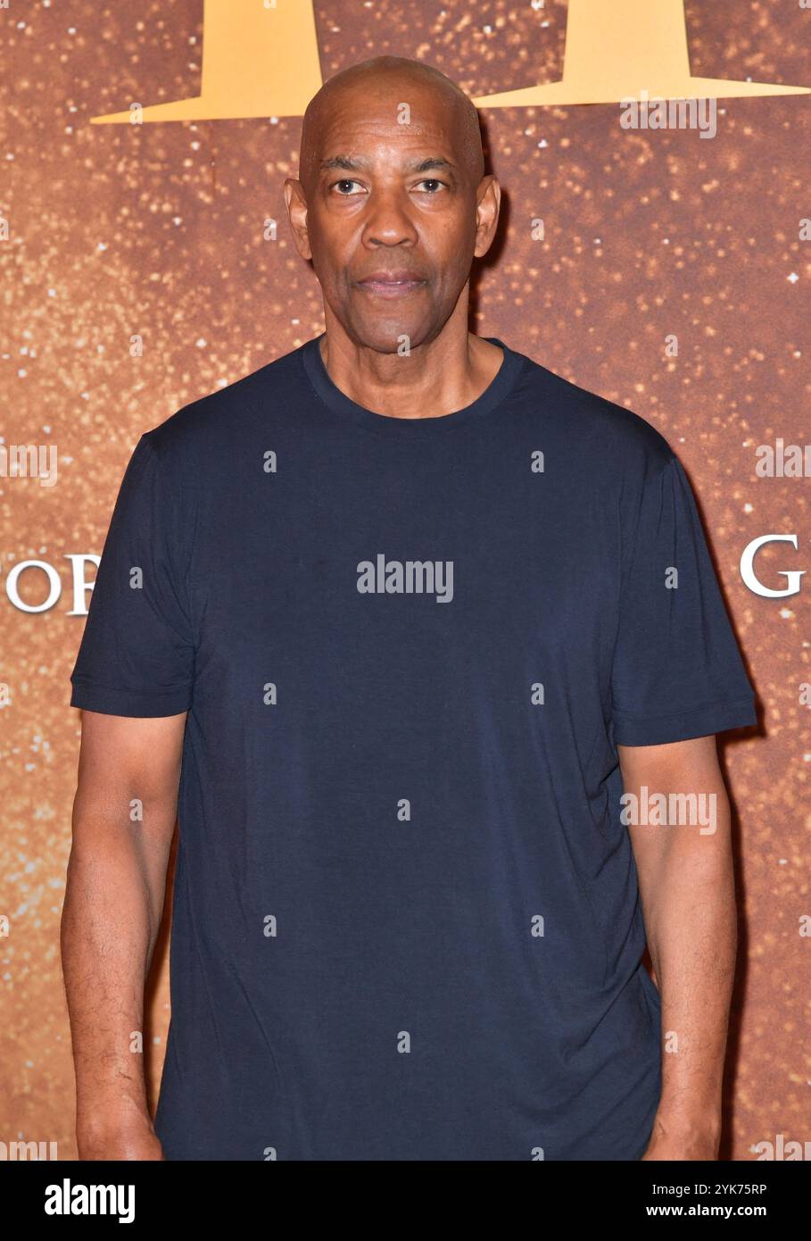 Connie Nielsen und Denzel Washington nehmen am 10. November 2024 an der Premiere von Gladiator II im Pathe Palace Teil Stockfoto