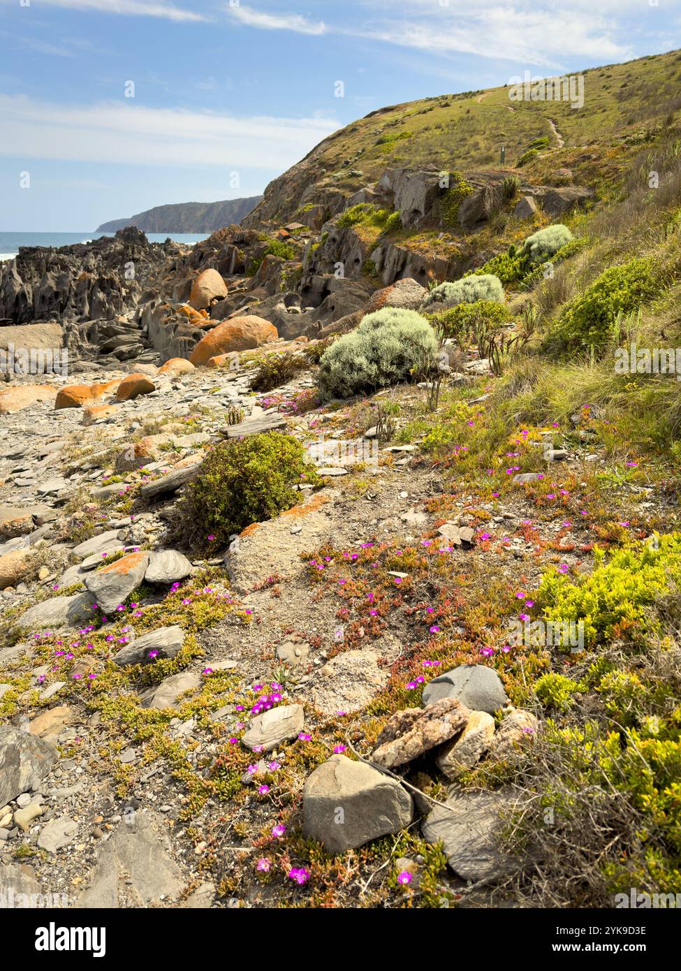 Raue Küstenausblicke entlang des Heysen Trail in der Nähe von Kings Beach auf der Fleurieu Peninsula in Südaustralien Stockfoto