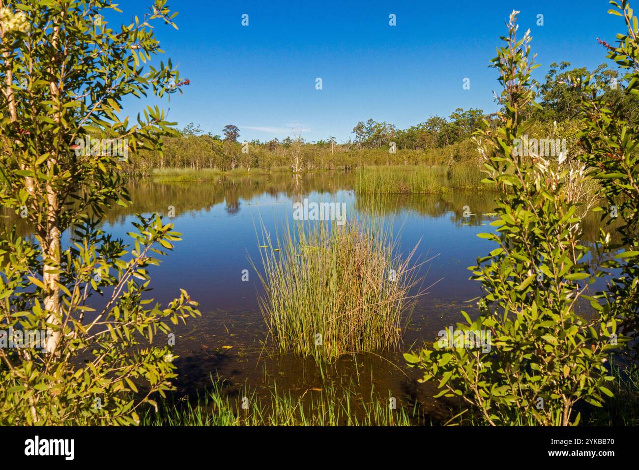 Lenthall's Damm - Südende Stockfoto