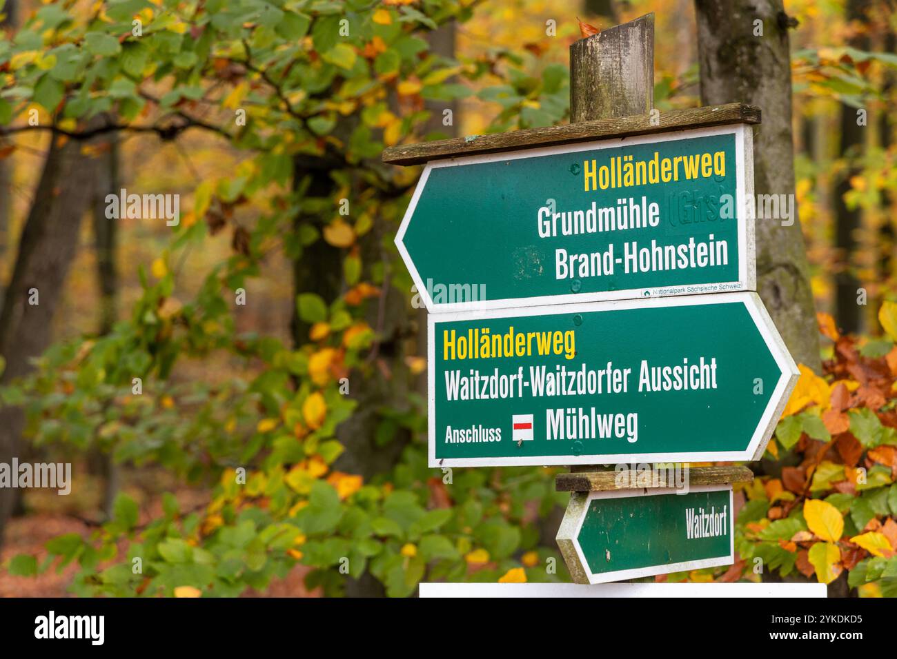 Impressionen Bilder aus dem Elbsandsteingebirge Hohnstein Stockfoto