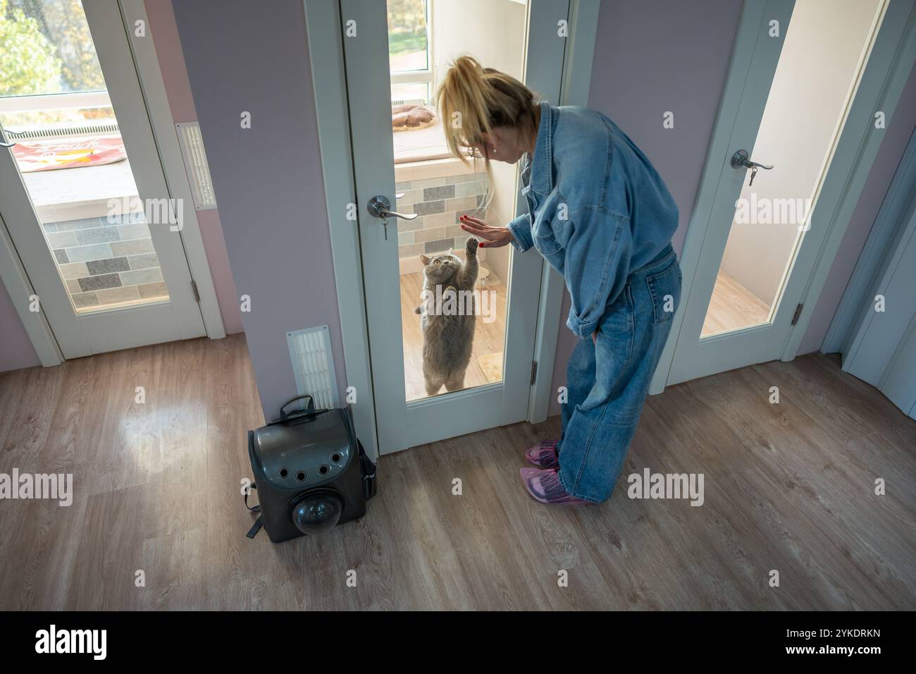 Die Frau verabschiedet sich von der traurigen vermissten Katze durch die Glastür im Tierhotel. Katzenverabschieden, Besitzer geht Stockfoto