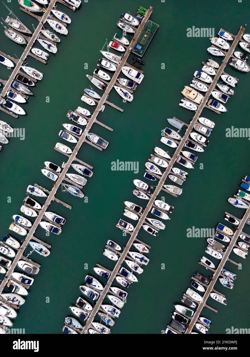 Luftaufnahme von Booten, die am Yachthafen in Torquay an der englischen Riviera an der Südküste von Devon im Vereinigten Königreich vertäut sind. Stockfoto