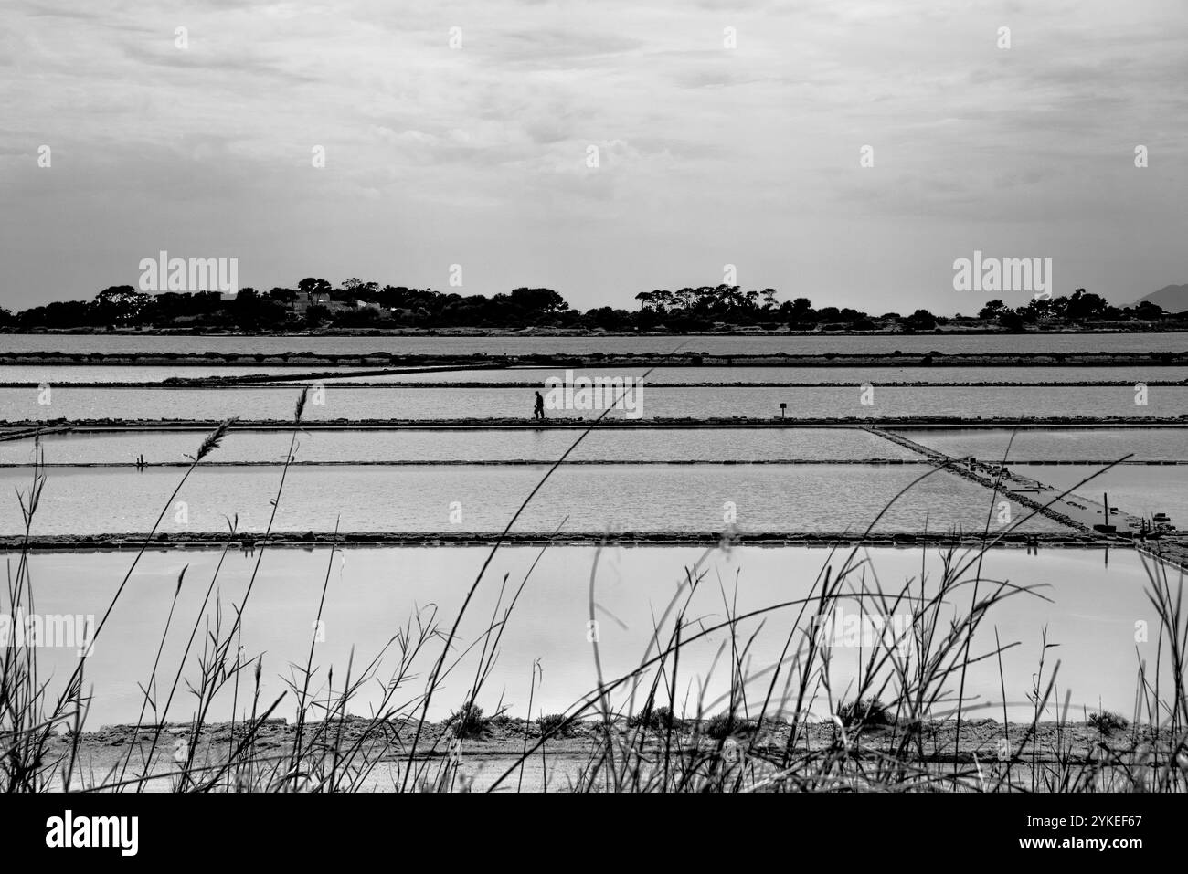 Die Saline di Marcala in der Lagune von Stagnone mit alten Windmühlen und Salzwiesen in Marshala Trapani Sizilien Italien Stockfoto