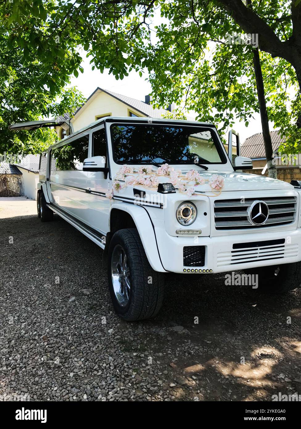 Kiew, Ukraine - 04. April 2021: Eine stilvolle weiße Mercedes Benz G-Klasse Limousine mit Blumenschmuck steht unter üppigen Bäumen. Perfekt für Stockfoto
