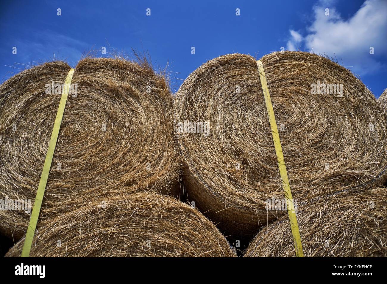 Runde Heuballen festgebunden Stockfoto