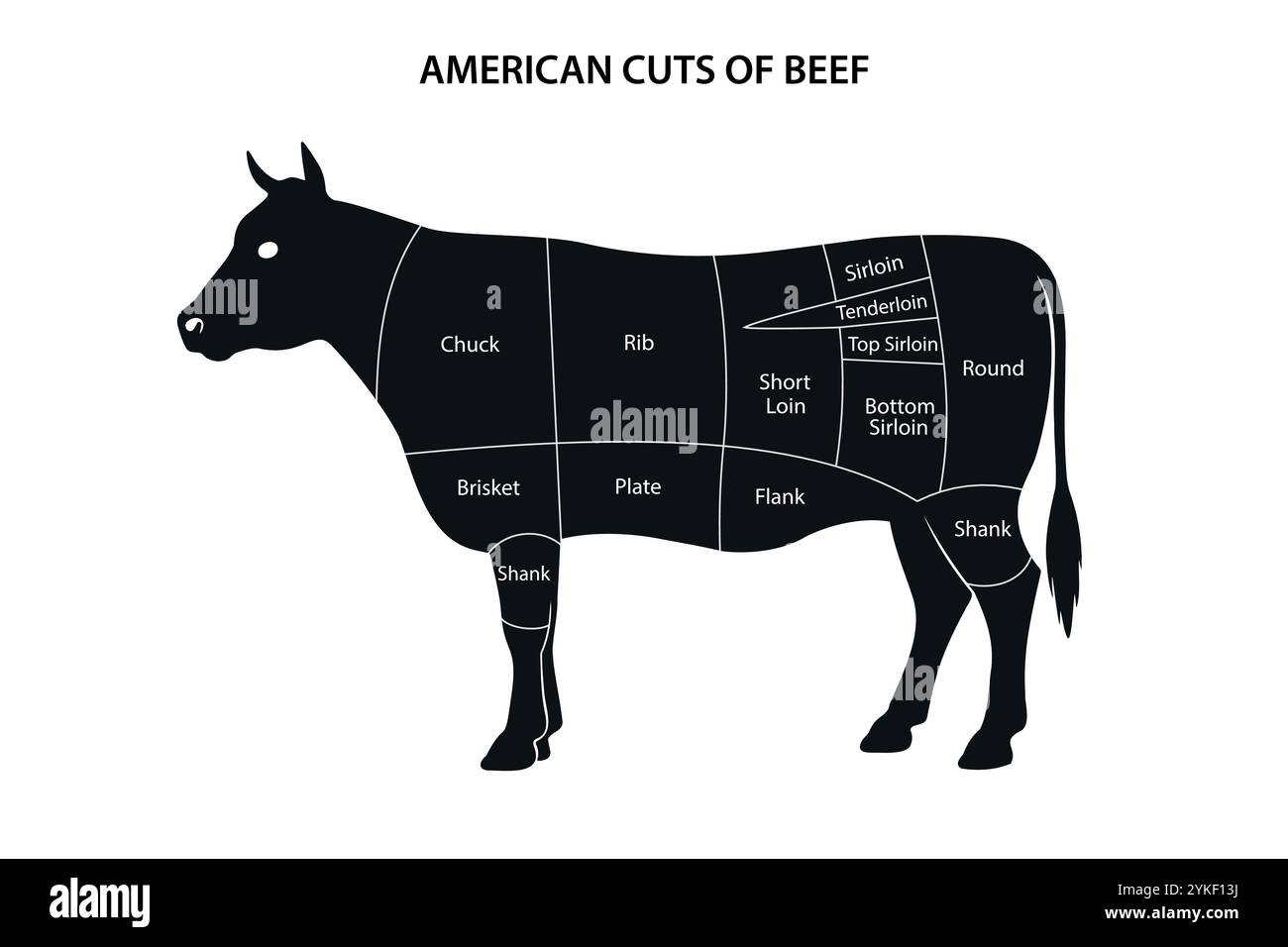 Diagramm mit amerikanischem Rindfleischschnitt, beschriftet auf einer Kuhsilhouette und detaillierten Fleischabschnitten. Stock Vektor