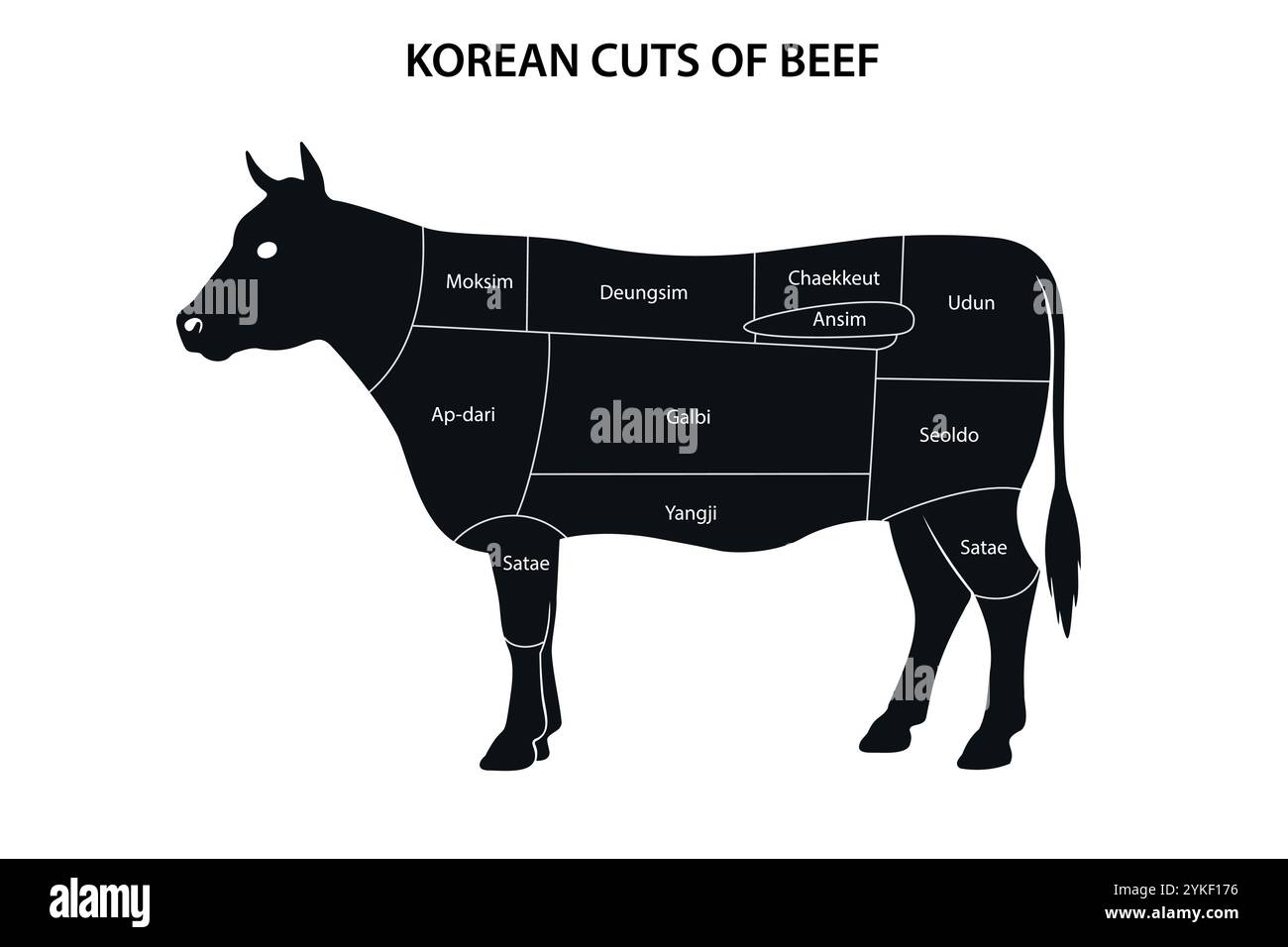 Visuelle Darstellung koreanischer Rindfleischstücke, gekennzeichnet auf einer Kuhsilhouette, mit verschiedenen Fleischabschnitten. Stock Vektor