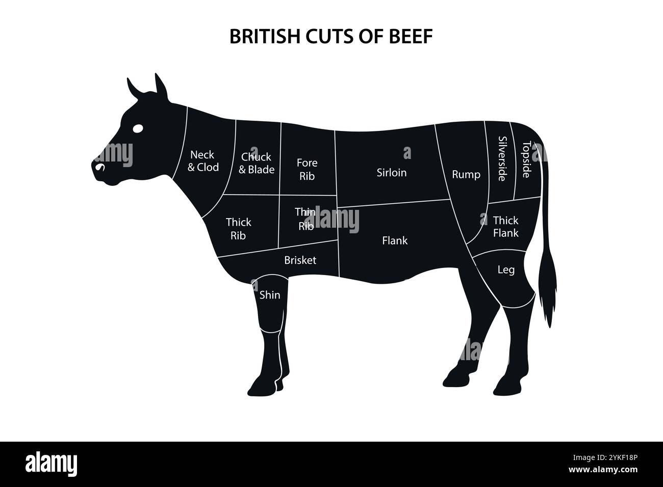 Visuelle Darstellung britischer Rindfleischstücke, gekennzeichnet auf einer Kuhsilhouette, mit verschiedenen Fleischabschnitten. Stock Vektor