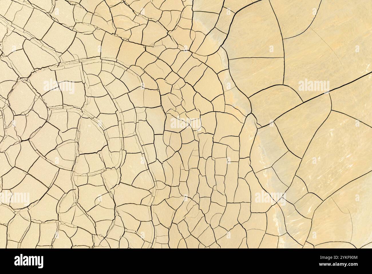 Hochauflösendes Bild mit den komplizierten Mustern von zerrissenem Schlamm, das Dürre und trockene Bedingungen symbolisiert, perfekt für Hintergründe oder Umgebungen Stockfoto