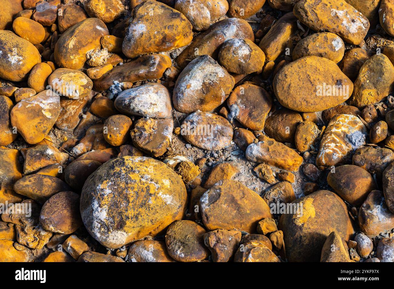 Nahaufnahme mit einer Sammlung von Naturgesteinen, die stark mit gelblichen Schwefelablagerungen beschichtet sind, die komplizierte Texturen und einen erdigen Ton hervorheben Stockfoto