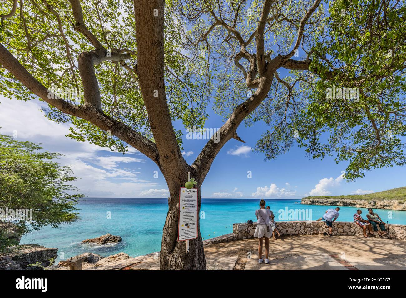Warnschild vor giftigen Manchineelbäumen an einem Strand von Curacao für Touristen. Besucher werden vor den Gefahren gewarnt, die sich durch Berühren oder Stehen unter den Bäumen ergeben, insbesondere bei Regen. Grote Knip Lagune, Willemstad, Curacao, Kòrsou Stockfoto