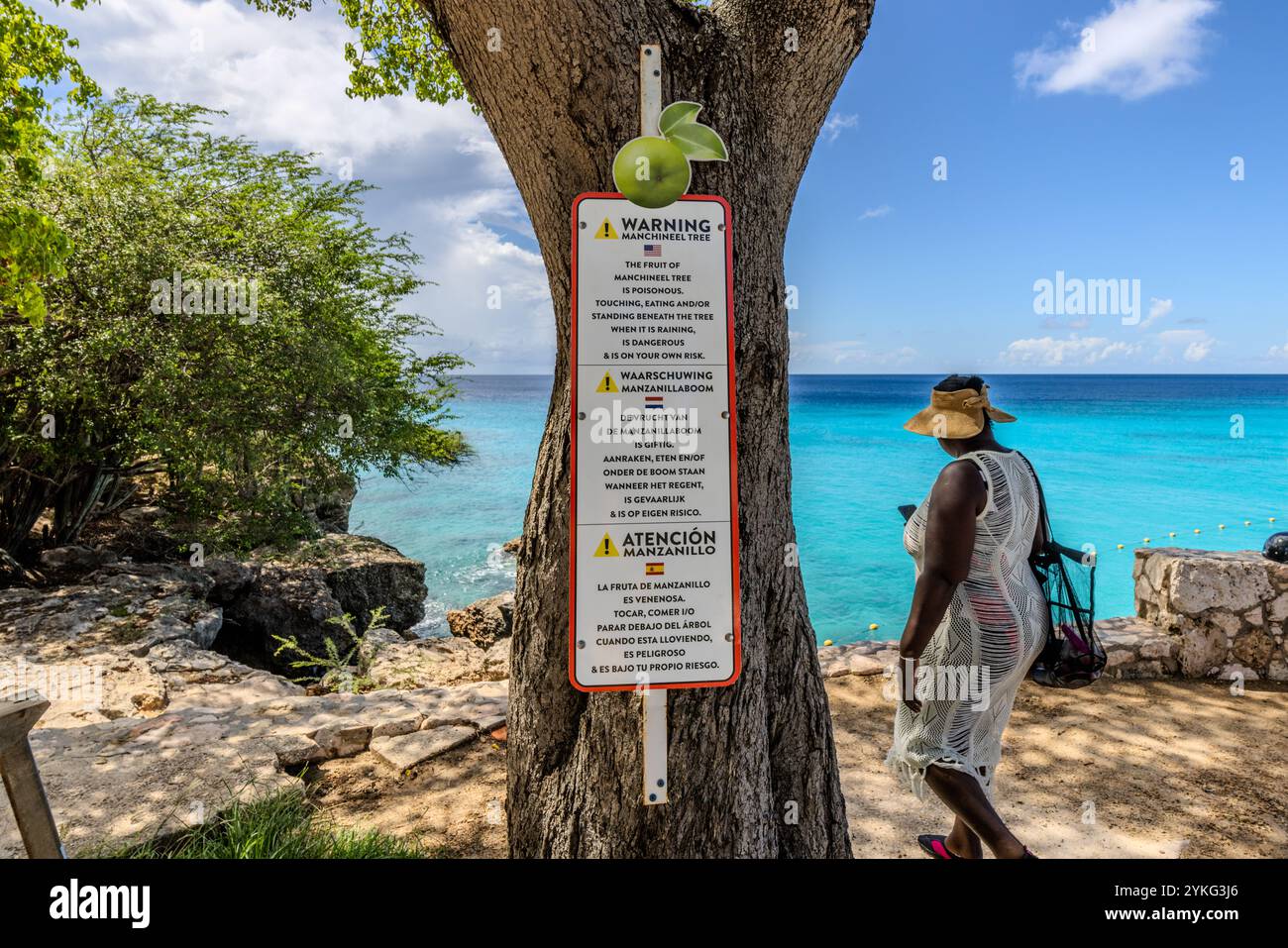 Warnschild an einem beliebten Strand von Curacao über den giftigen Manchineelbaum. Touristen werden gewarnt, nicht anzufassen, Obst zu essen oder unter dem Baum zu stehen, besonders wenn es regnet. Warnung vor dem giftigen Manchineelbaum am Strand und in der Lagune Grote Knip, Willemstad, Curacao, Kòrsou Stockfoto