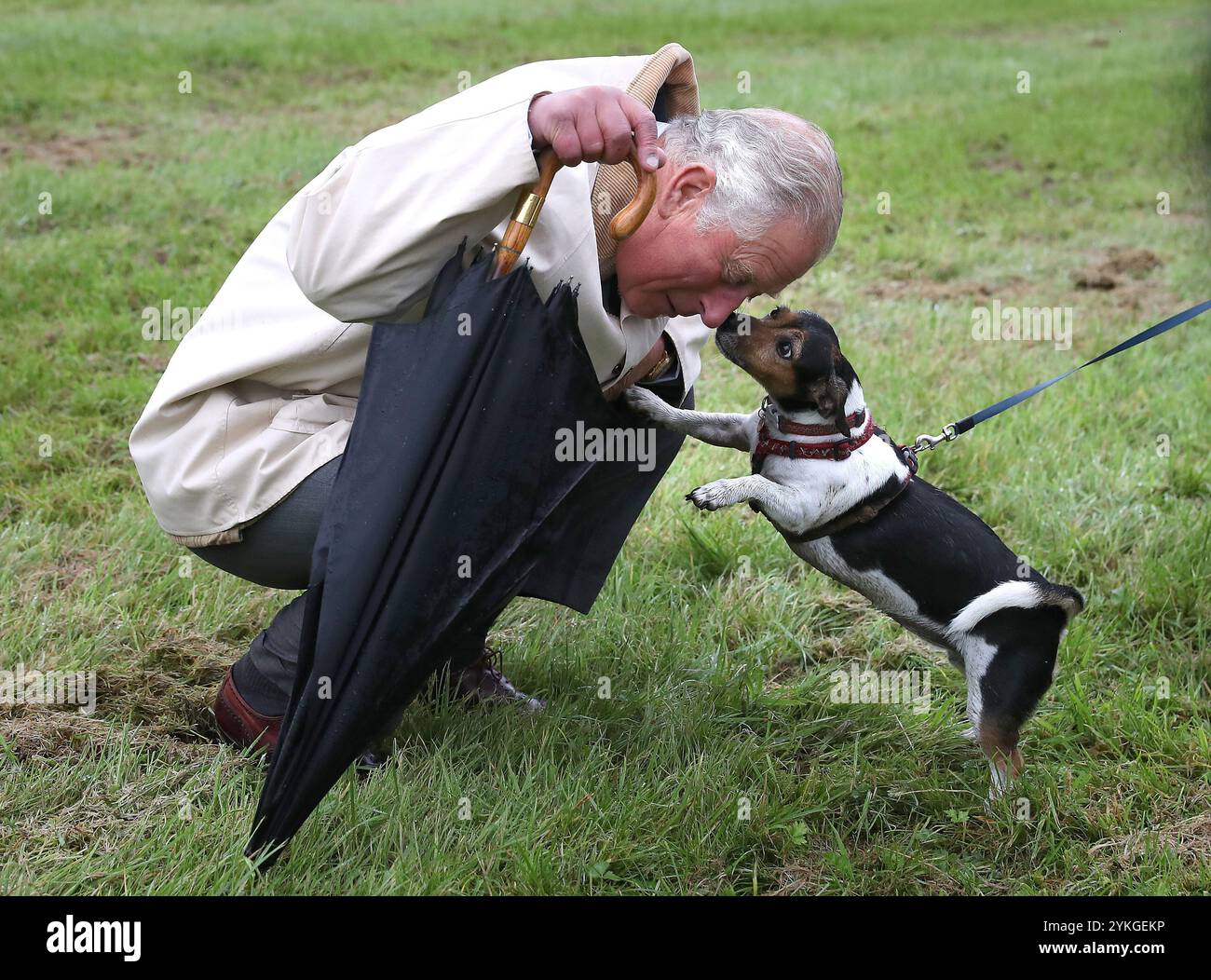 Aktenfoto vom 09/17 des damaligen Prinzen von Wales (heute König Charles III) begrüßt Beth, den Hund der Herzogin von Cornwall (Königin Camilla), während eines Besuchs der Gartenparty und Hundeshow im Dumfries House in Cumnock, Schottland. Die Königin hat nach dem Tod von Beth, einem ihrer geliebten Hunde, das Herz gebrochen. Der Terrier wurde von Camilla vom Battersea Dogs and Cats Home adoptiert, zusammen mit ihrem anderen Hund Bluebell. Ausgabedatum: Montag, 18. November 2024. Stockfoto