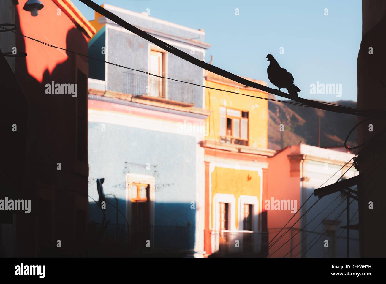 Eine Silhouette einer Taube auf einem Draht mit farbenfrohen, sonnendurchfluteten Gebäuden von Guanajuato, Mexiko, im Hintergrund, die einen ruhigen Moment in der festhalten Stockfoto