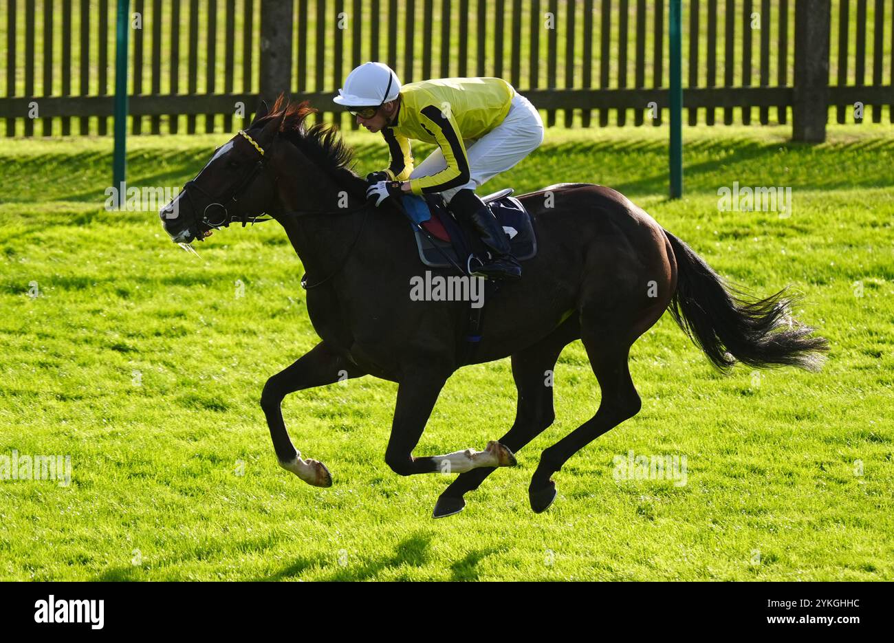 Aktenfoto vom 27.09.2024 von Burdett Road, geritten von Harry Davies. Der Besitzer und Züchter Tim Gredley ist begeistert von der potentiellen Pferdeeinheit, die seiner Familie für das Cheltenham Festival zur Verfügung steht. Ausgabedatum: Montag, 18. November 2024. Stockfoto