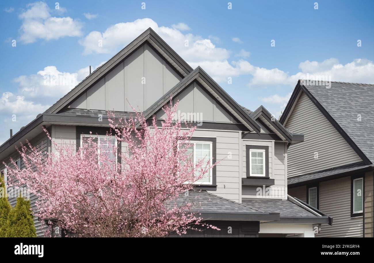 Fassade des Hauses mit Fenstern und blauem Himmel im Hintergrund und blühendem Sakura, gelegen in einem ruhigen Wohnviertel, mit viel Platz für Tex Stockfoto