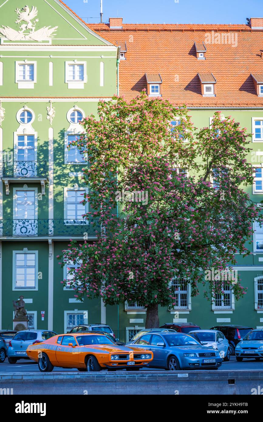 Urząd Miasta Szczecin, Widok of Strony Plac Jasne Blonia Stockfoto