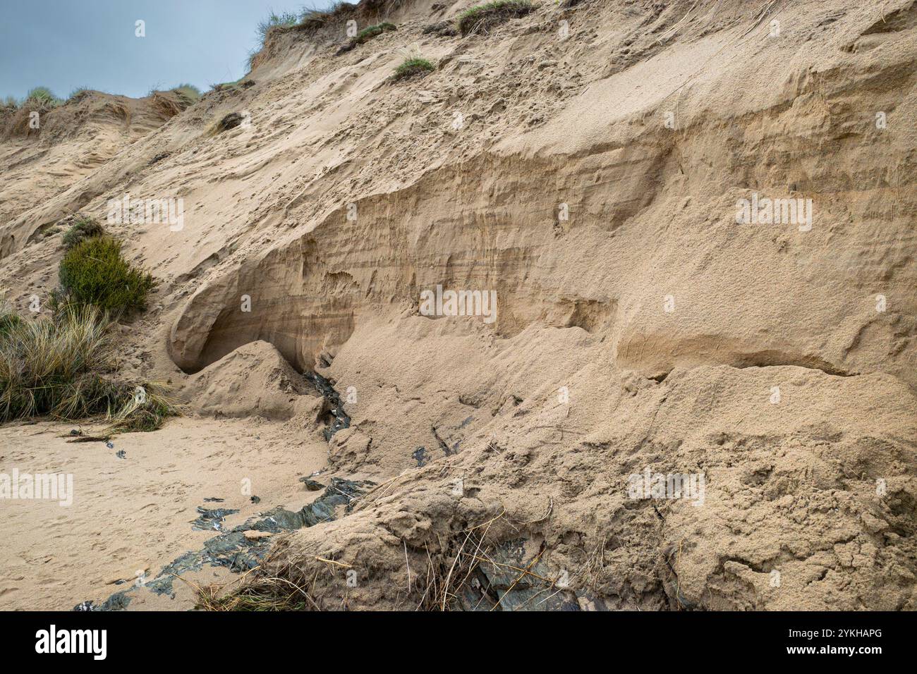 Sturmschäden am Sanddünen-System am Crantock Beach in Newquay in Cornwall in Großbritannien. Stockfoto