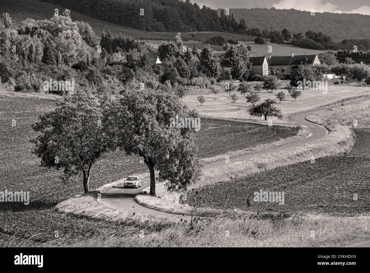 Retro Burgund Touring France Urlaub mit dem Auto in der ruhigen ländlichen ländlichen französischen Landschaft in der Nähe von Curtil-Vergy, in den Weinbergen der Hautes Cotes de Nuits Cote d'Or, Frankreich. S&W Retro Vintage-Behandlung. Baumbogen Bauernhof ländliche Landschaft Frankreich Stockfoto