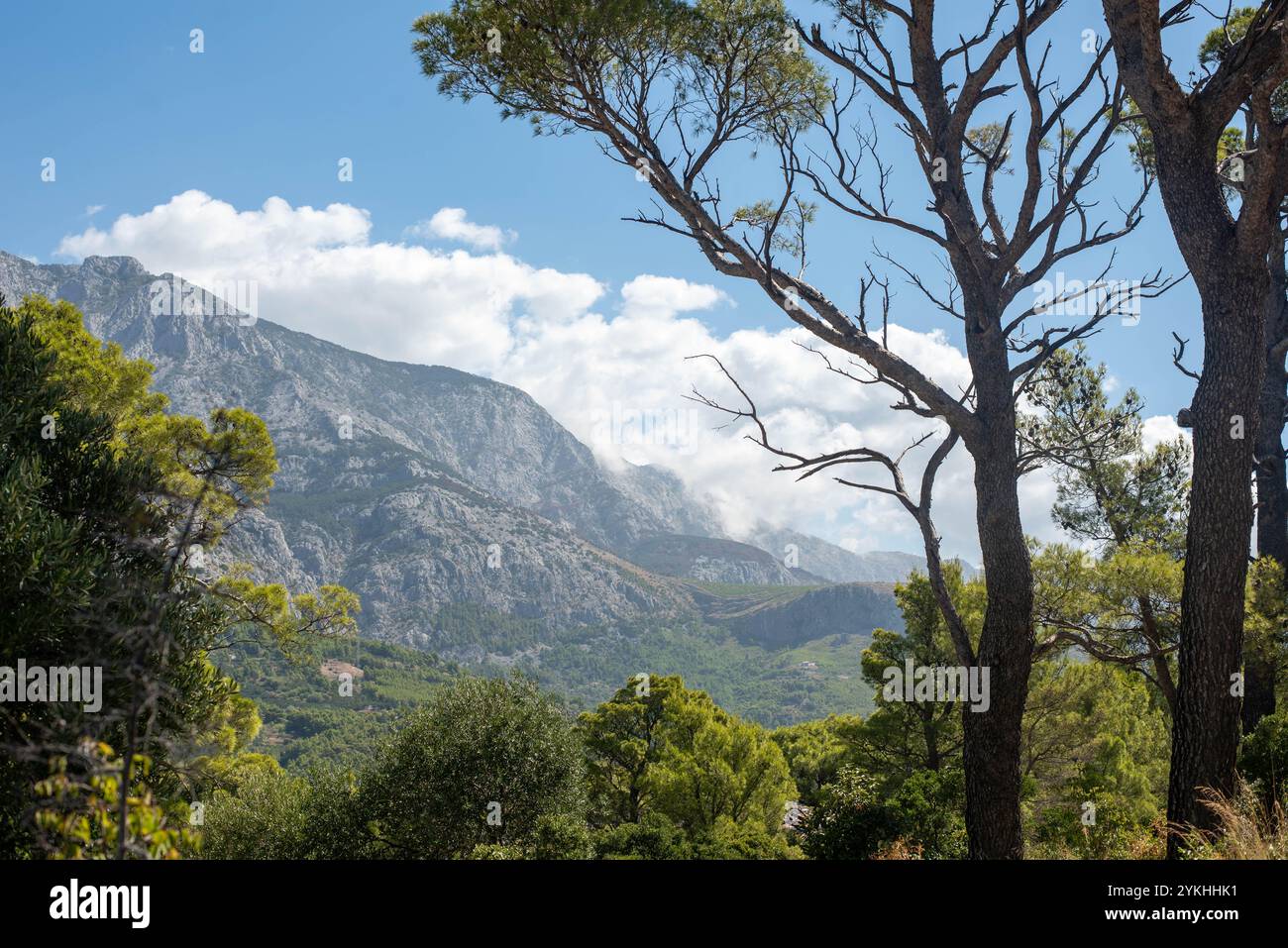 Majestätischer Blick auf die Berge rund um die Makarska Region, Kroatien, mit atemberaubenden Naturlandschaften Stockfoto