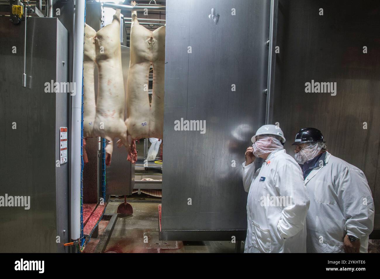 Triumph Foods Produktionsanlage für Schweinefleisch 28. April 2017. Das Werk beherbergt 2.800 Mitarbeiter in St. Joseph, Mo. Die Fleischverpackungsindustrie (auch Fleischverpackungsindustrie oder Fleischverpackungsindustrie) kümmert sich um das Schlachten, die Verarbeitung, die Verpackung und den Vertrieb von Fleisch von Tieren wie Rindern, Schweinen, Schafen und anderen Tieren. Geflügel ist in der Regel nicht enthalten. Dieser größere Teil der gesamten Fleischindustrie konzentriert sich in erster Linie auf die Herstellung von Fleisch für den menschlichen Verzehr, produziert aber auch eine Vielzahl von Nebenprodukten wie Häute, getrocknetes Blut, Eiweißmehl wie Fleisch- und Knochenmehl. Stockfoto