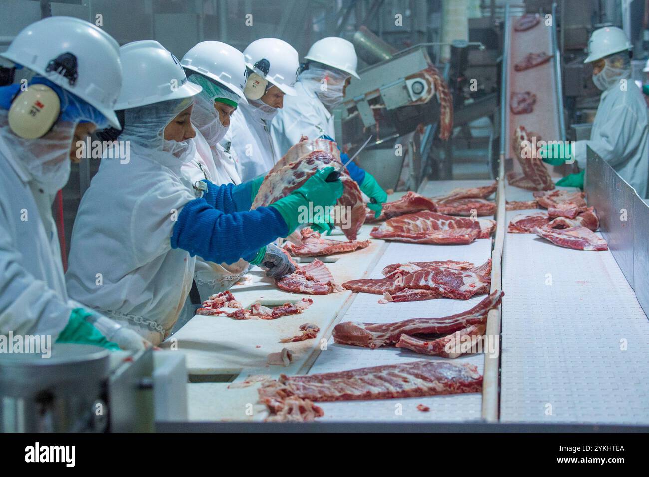 Triumph Foods Produktionsanlage für Schweinefleisch 28. April 2017. Das Werk beherbergt 2.800 Mitarbeiter in St. Joseph, Mo. Die Fleischverpackungsindustrie (auch Fleischverpackungsindustrie oder Fleischverpackungsindustrie) kümmert sich um das Schlachten, die Verarbeitung, die Verpackung und den Vertrieb von Fleisch von Tieren wie Rindern, Schweinen, Schafen und anderen Tieren. Geflügel ist in der Regel nicht enthalten. Dieser größere Teil der gesamten Fleischindustrie konzentriert sich in erster Linie auf die Herstellung von Fleisch für den menschlichen Verzehr, produziert aber auch eine Vielzahl von Nebenprodukten wie Häute, getrocknetes Blut, Eiweißmehl wie Fleisch- und Knochenmehl. Stockfoto