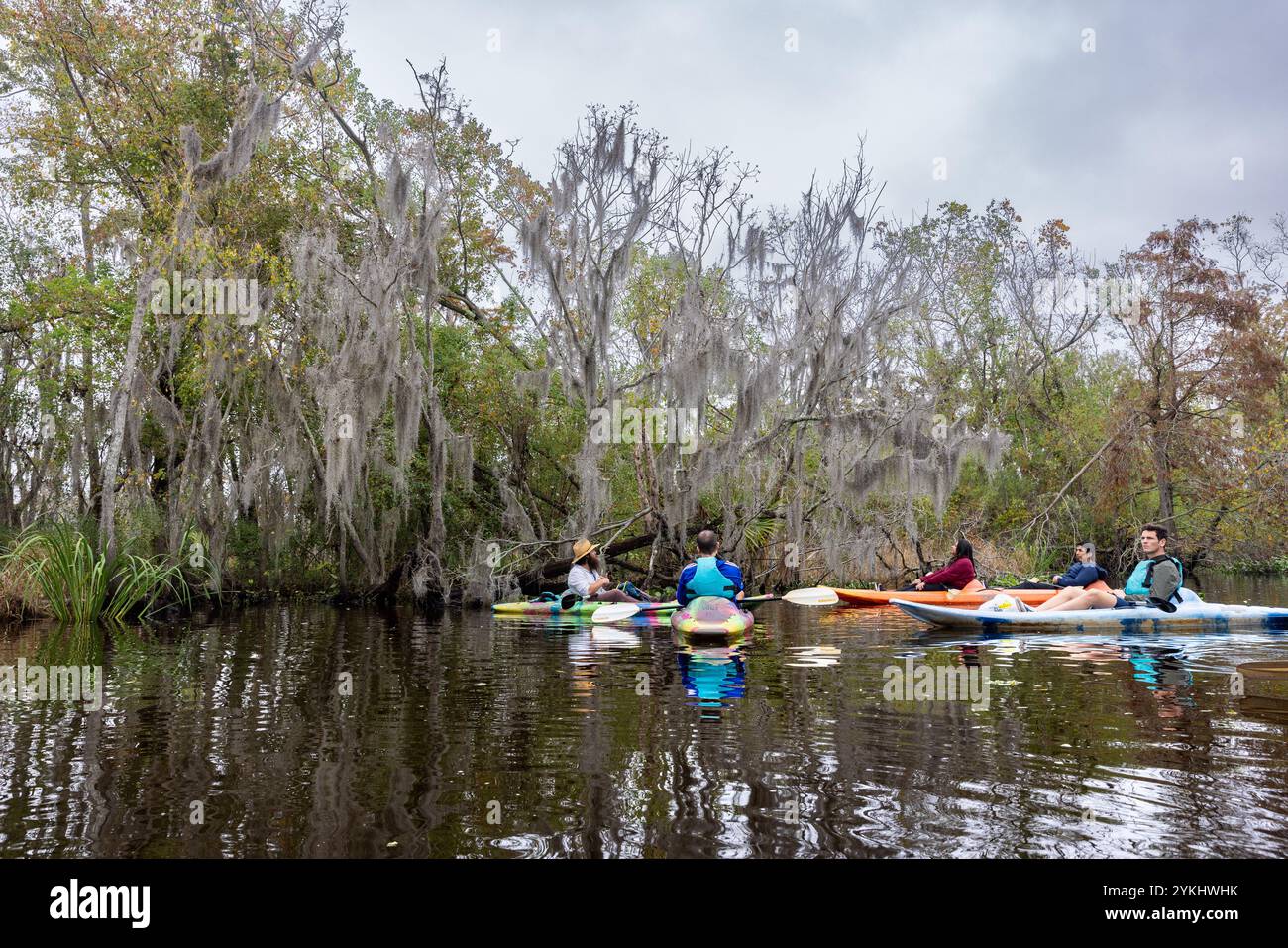 Sumpftour im Mandschac Swamp in New Orleans, Louisiana. Stockfoto