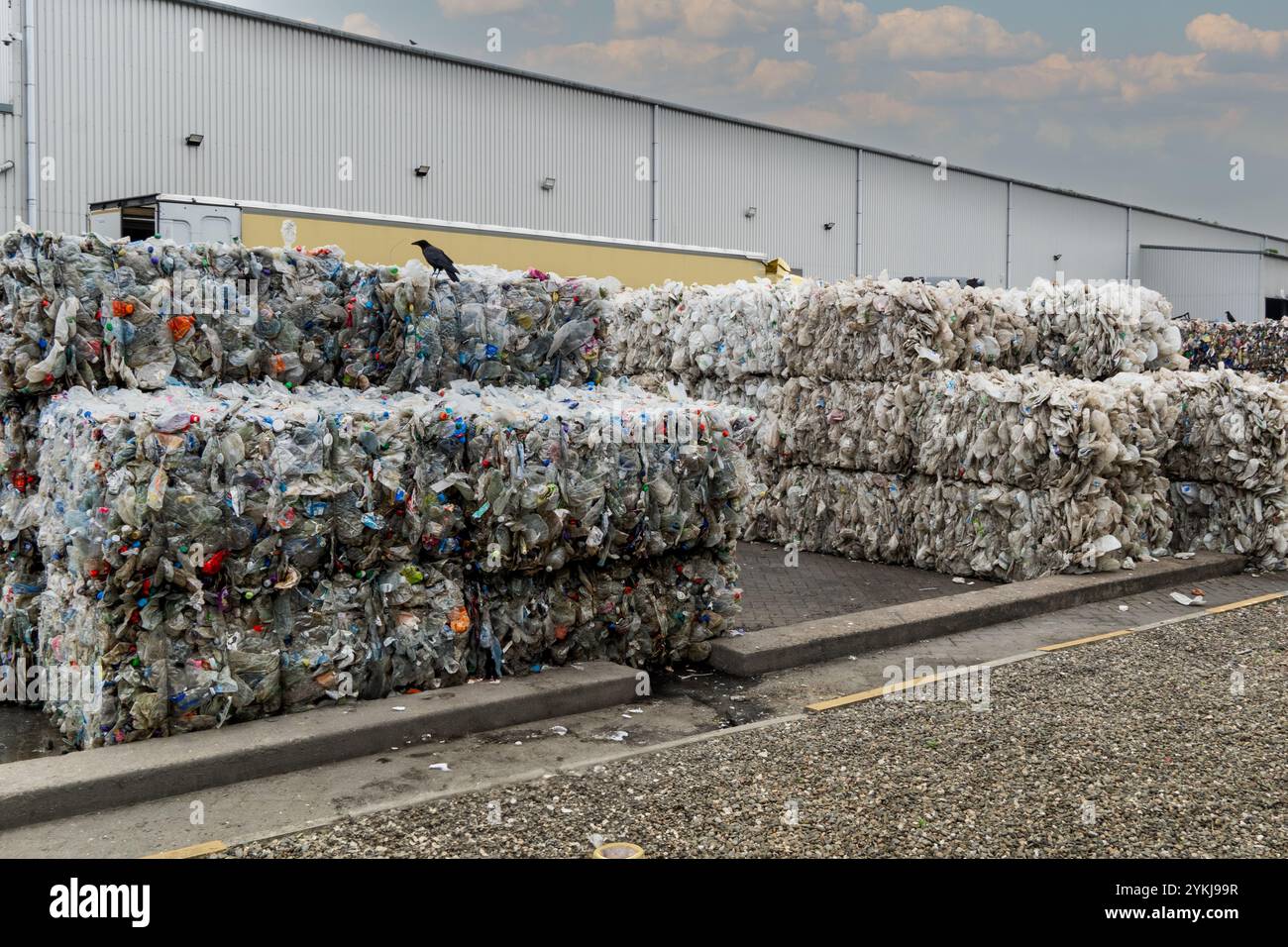 Gebrauchte Kunststoffmilchflaschen und -Kartons, die in Stapelballen gebündelt und für das Recycling in einer Recyclinganlage für industrielle Kunststoffabfälle bereit sind Stockfoto
