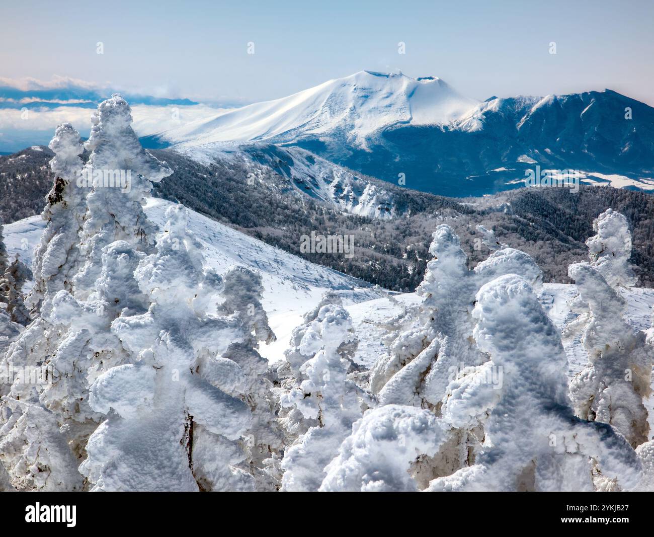 Gefrorene Bäume, tiefer Schnee und im Hintergrund aufragender Vulkan Stockfoto