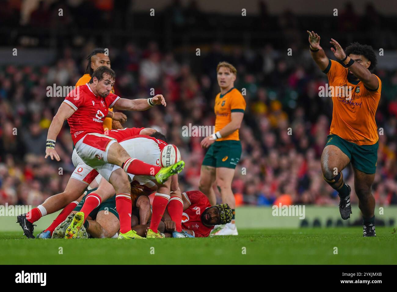 Wales gegen Australien Autumn Nations Series Principality Stadium, Cardiff 17/11/2024 Stockfoto