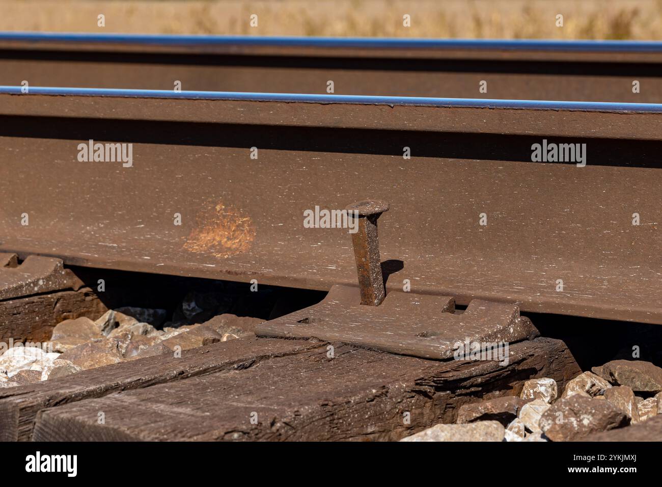 Eisenbahngleise mit Stacheln, die oben stehen. Eisenbahninstandhaltung, Gleisreparatur und Sicherheitskonzept für die Verkehrsinfrastruktur Stockfoto
