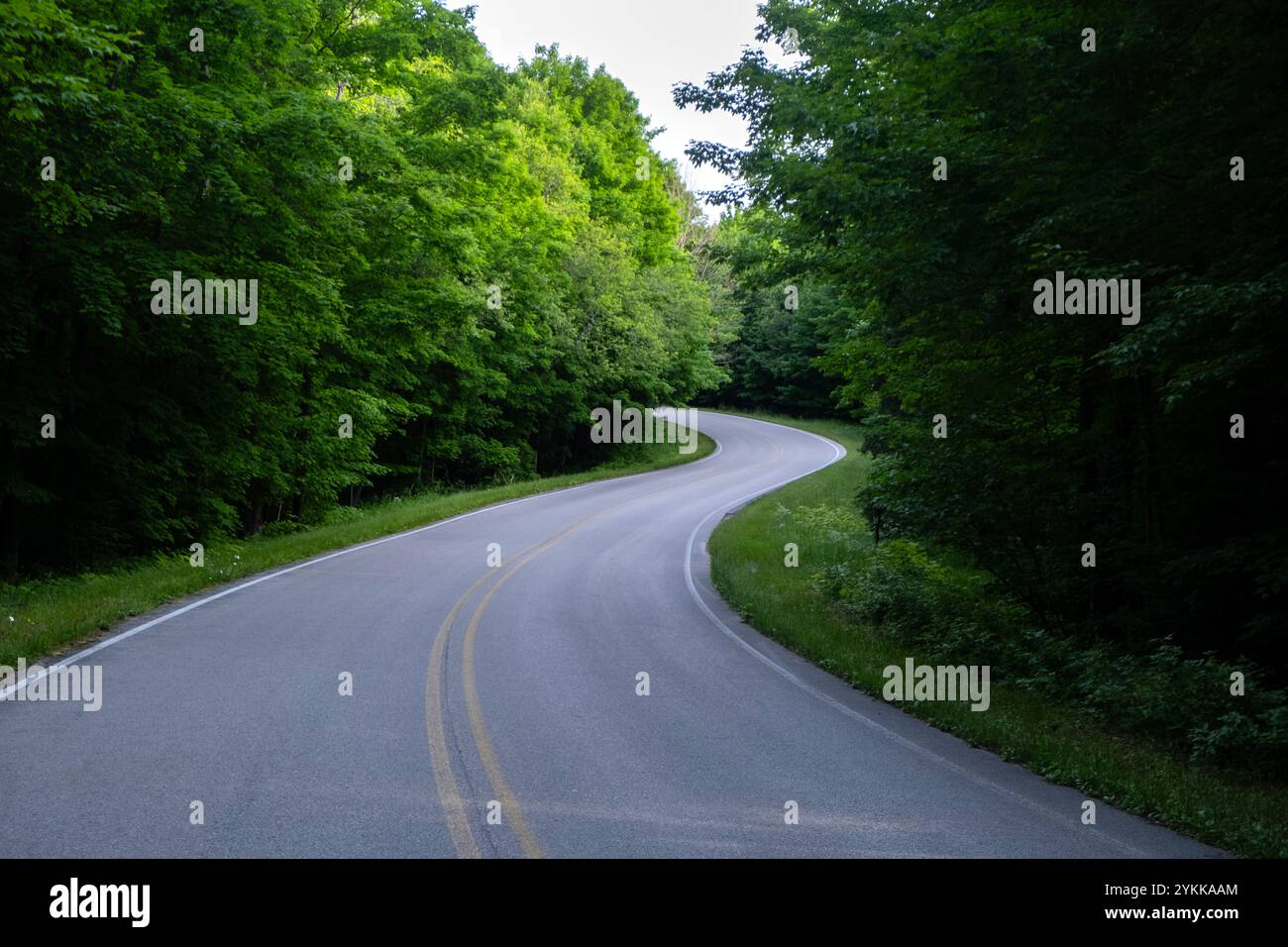 Kurvenreiche Straße im üppig grünen Sommerwald von Pictured Rocks National Lakeshore auf der oberen Halbinsel von Michigan Stockfoto