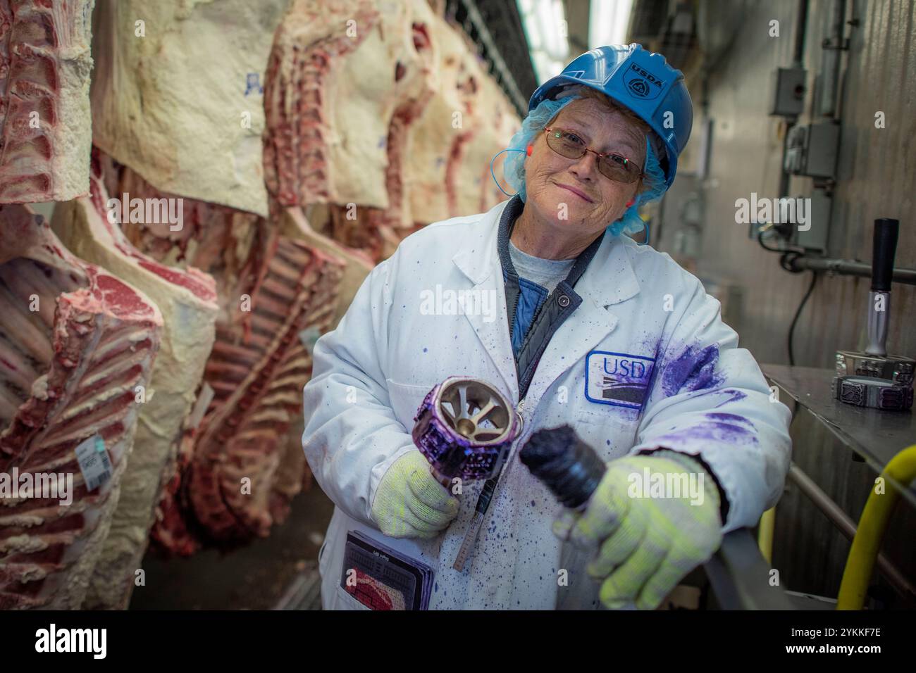 Inspektoren für landwirtschaftliche Fleischerzeugnisse der USDA untersuchen und sortieren Rindfleisch in einem Schlachthof und einer Verpackungsanlage. Stockfoto