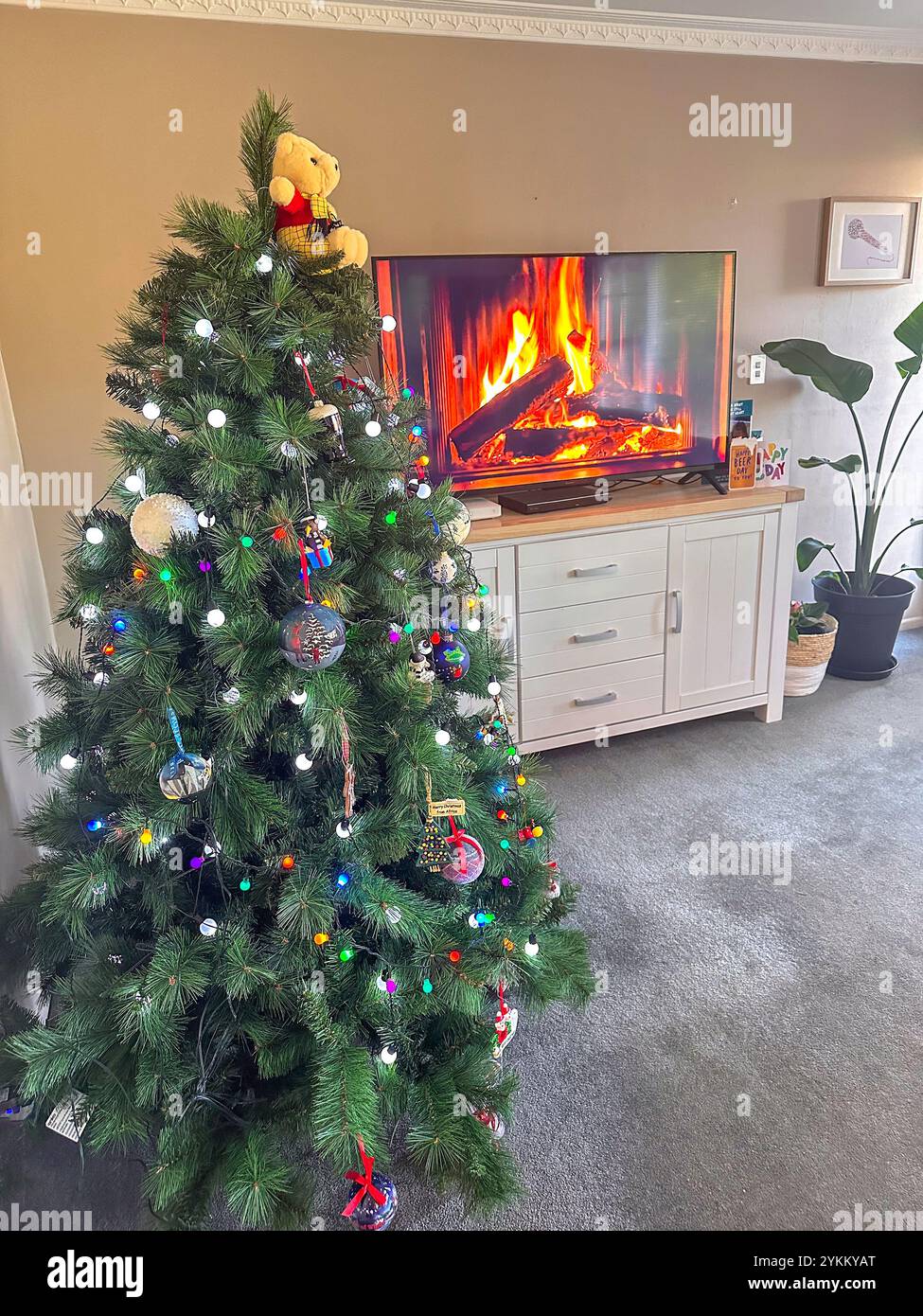 Weihnachtsbaum und Fernsehen mit Feuervideo, Huntsbury, Christchurch (Ōtautahi), Canterbury, Neuseeland Stockfoto