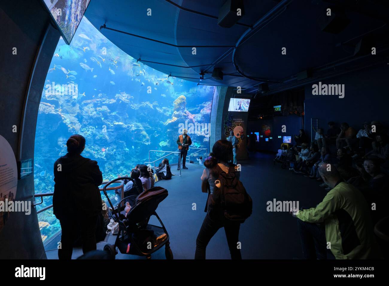 Eine Unterwassershow im Aquarienbecken mit einem Taucher, der ein Korallenriff erforscht. An der California Academy of Sciences, San Francisco. Stockfoto