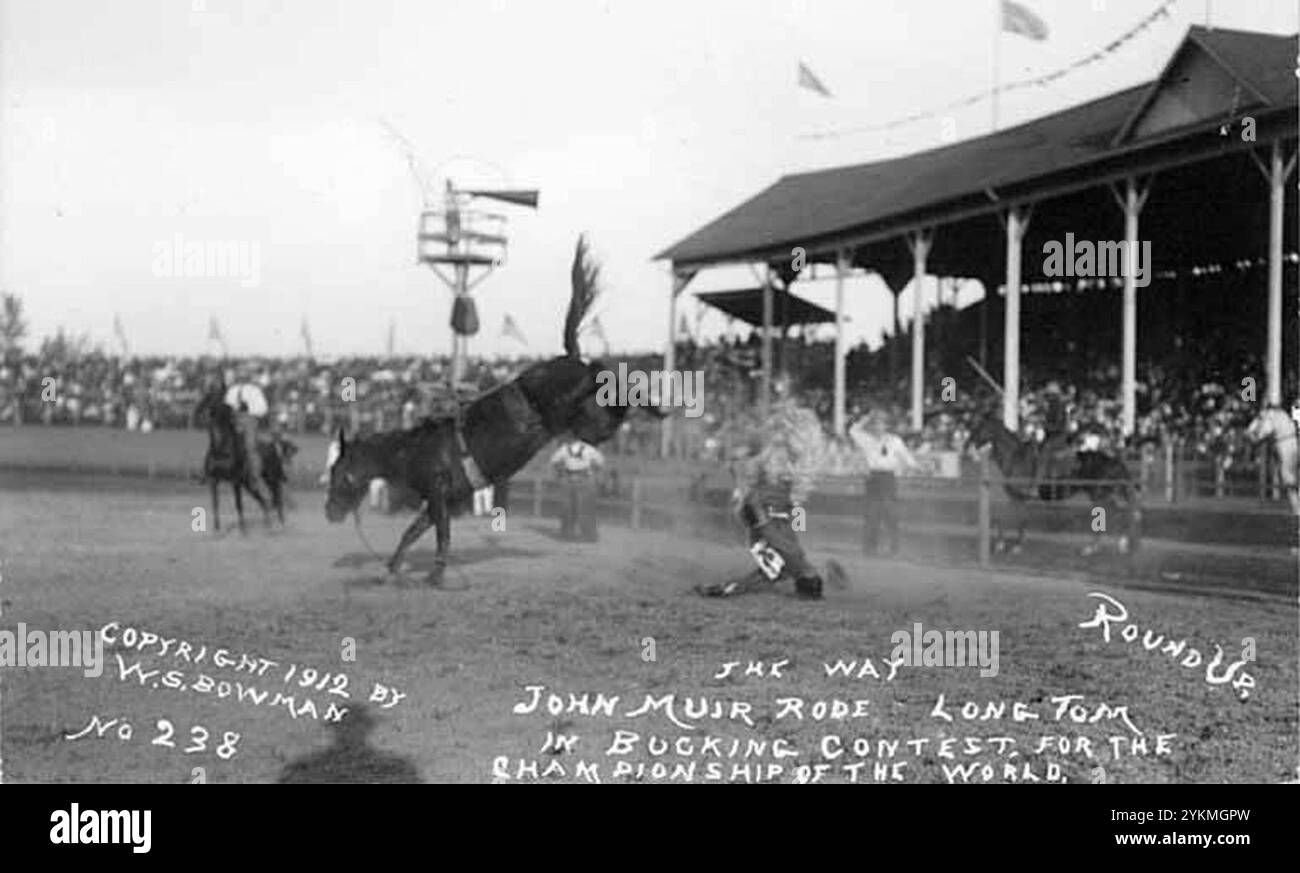 Der Bronzefahrer John Muir wurde 1912 bei der Round-Up in Pendleton, Oregon, von seinem Pferd geworfen Stockfoto